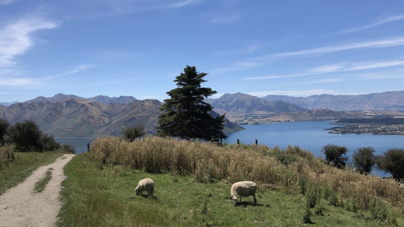 Roys Peak Wanaka