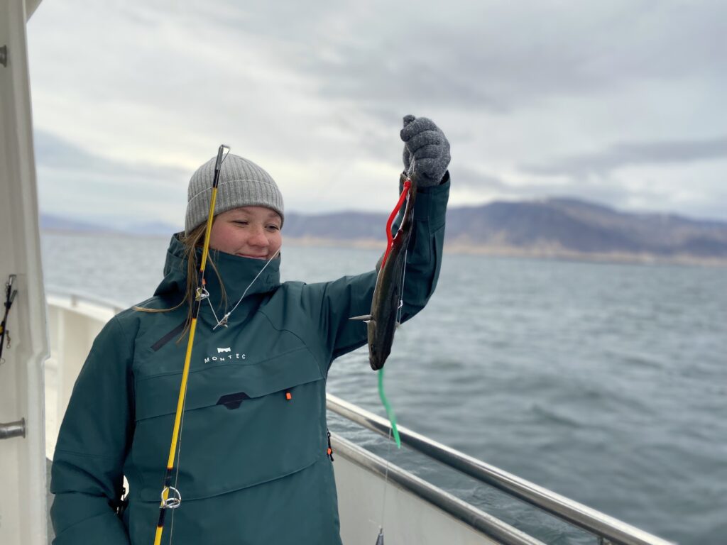 Reykjavik fishing
Reykjavik kalastus