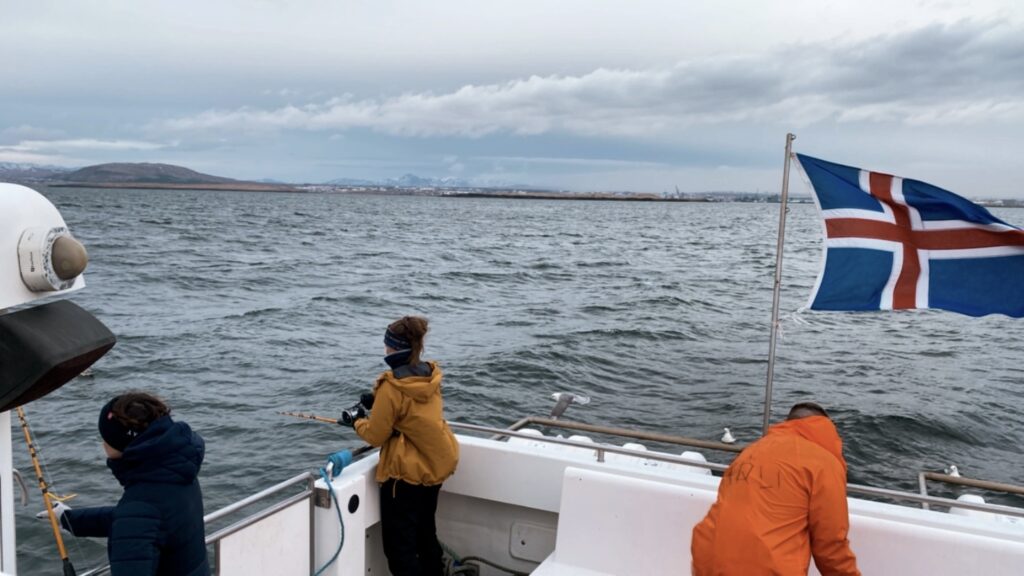 Reykjavik fishing
Reykjavik kalastus