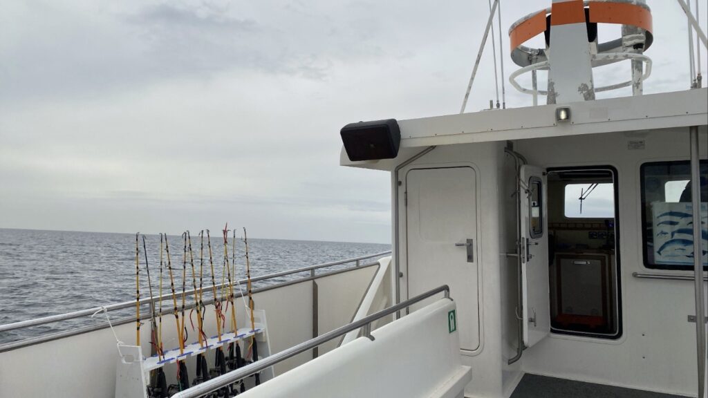 Reykjavik fishing
Reykjavik kalastus