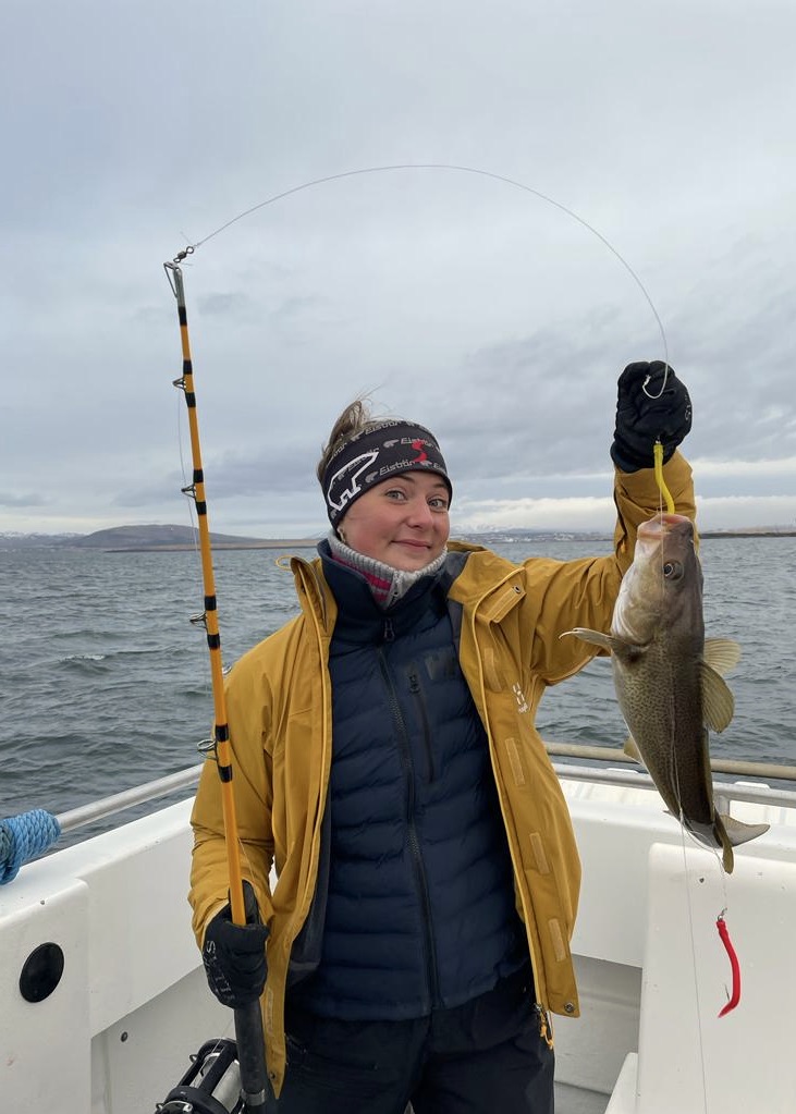 Reykjavik fishing
Reykjavik kalastus