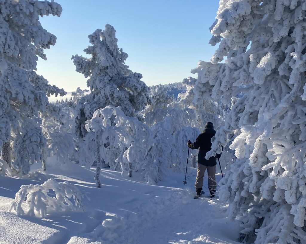 Liukulumikenkäily Levillä Kätkätunturilla