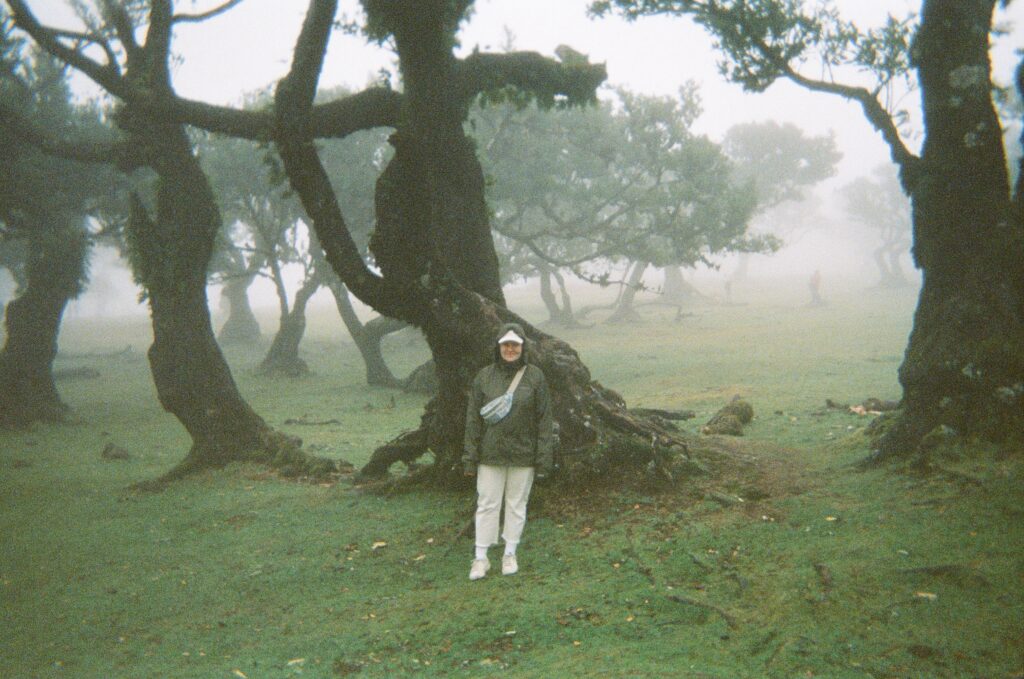 Madeira, Portugali, Fanal-metsä